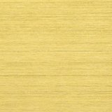 Stainless Steel Gold